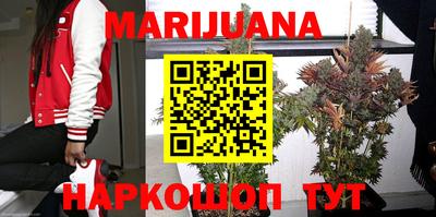 прущие крисы Кимры