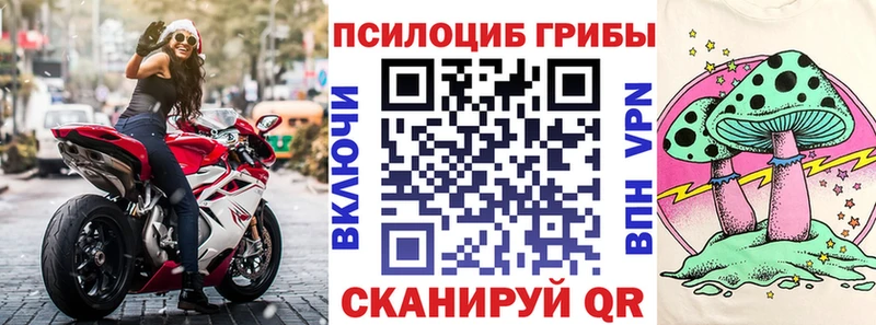 Галлюциногенные грибы мицелий  блэк спрут как войти  Южноуральск 